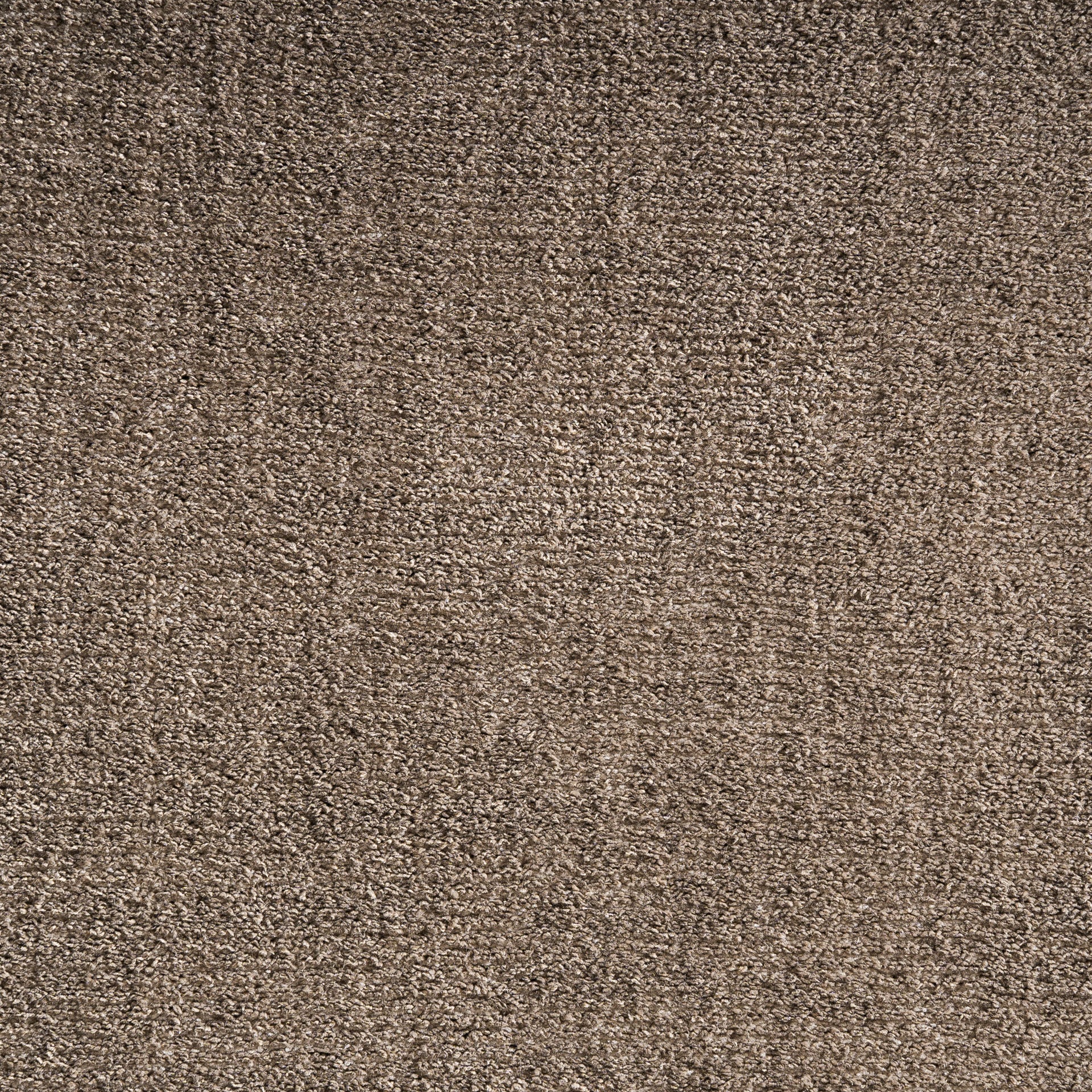 CLEA CARPET